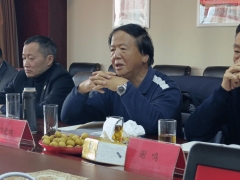 专家指点 启思赋能┃昆明东友邦际商业投资推进